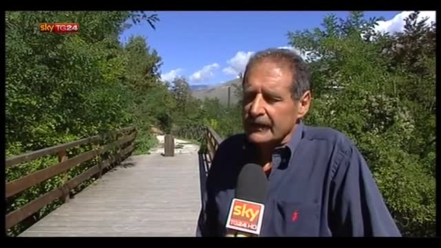 Orso morto in Abruzzo, sindaco: nessun boccone avvelenato