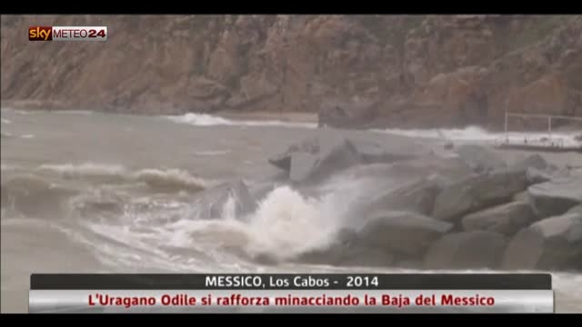 L'Uragano Odile si rafforza minacciando la Baja del Messico