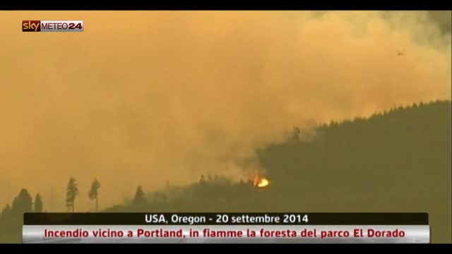 Stati Uniti, in fiamme la foresta del parco El Dorado