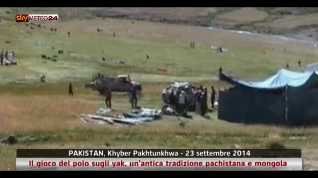 Pakistan, il gioco del polo sugli yak a 400 metri di quota