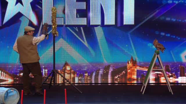 Italia's Got Talent: promo animali e il casting di Rimini