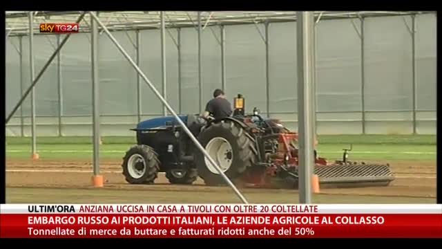 Embargo russo prodotti italiani, ditte agricole al collasso