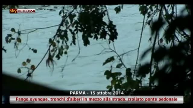 Parma, fango ovunque e tronchi in strada, crolla ponte