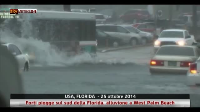 Forti piogge in Florida, alluvione a Palm Beach