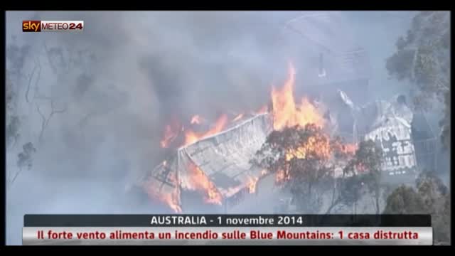 Australia, forte vento alimenta incendio su Blue Mountains