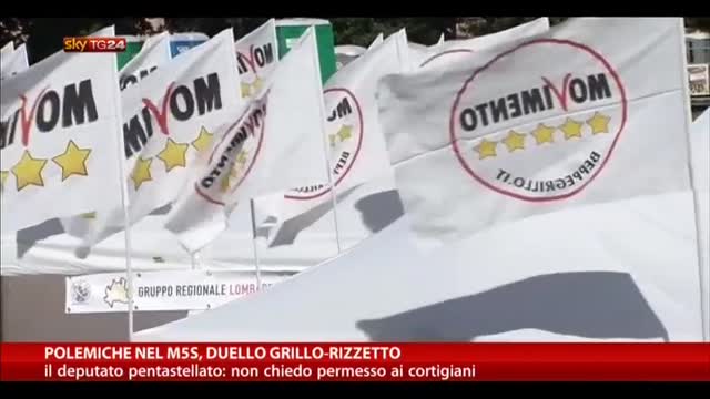 Polemiche nel M5S, duello Grillo-Rizzetto