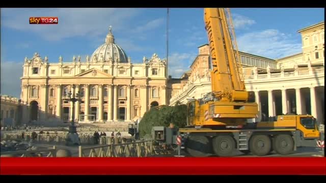 Vaticano, è arrivato dalla Calabria l'albero di Natale