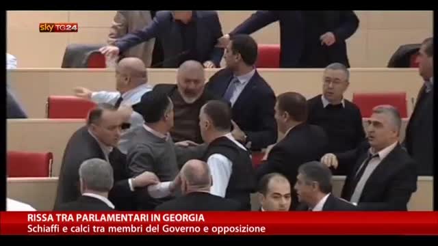 Rissa tra parlamentari in Georgia