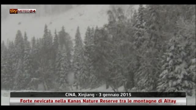 Cina, forte nevicata nella Kanas Nature Reserve