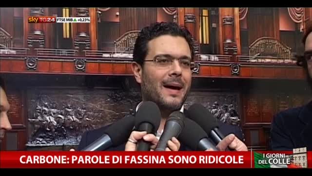 Carbone: parole di Fassina sono ridicole