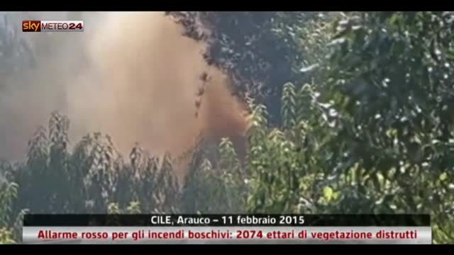 Cile, incendi boschivi: 2074 ettari di vegetazione distrutti