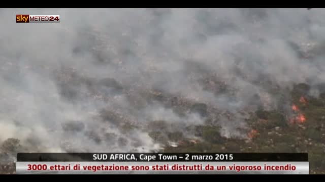 Cape Town, 3000 ettari di vegetazione distrutti da incendio