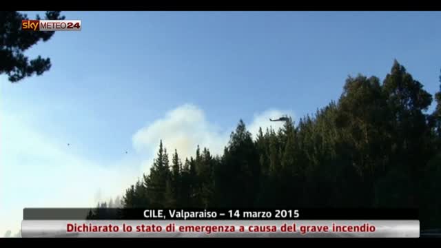 Cile, stato emergenza dichiarato a causa del grave incendio