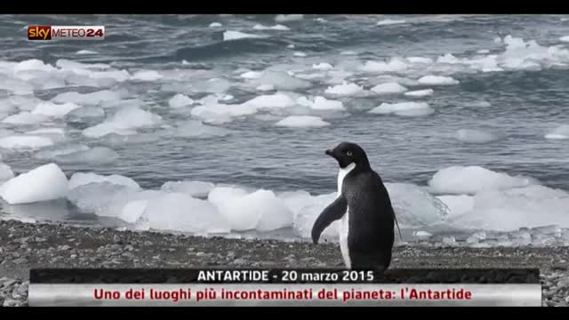 Uno dei luoghi più incontaminati del pianeta: l’Antartide