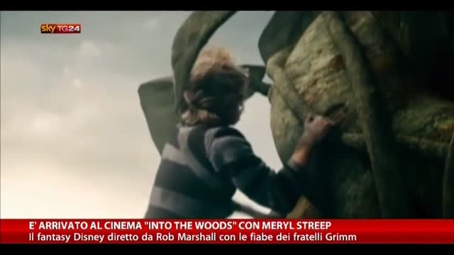 E' arrivato al cinema "Into the Woods" con Meryl Streep
