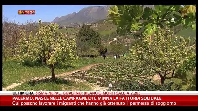 Palermo, nelle campagne di Ciminna nasce fattoria solidale
