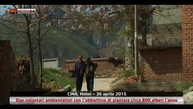Cina, 2 ambientalisti volontari piantano 800 alberi l’anno