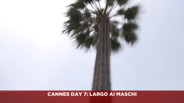 Sky Cine News: Cannes: Settima giornata