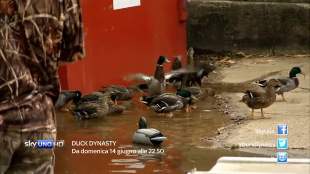 Duck Dynasty: Una pazza azienda di famiglia