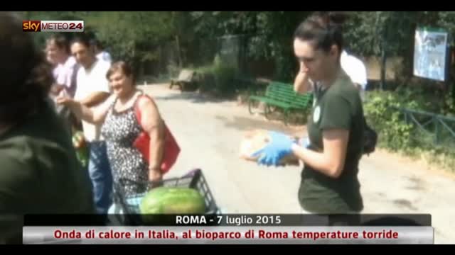 Caldo al Bioparco di Roma