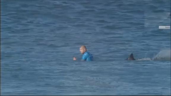 Due squali attaccano surfista, riesce a salvarsi