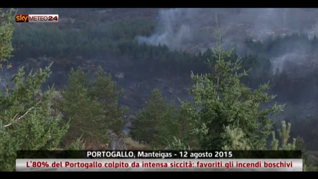 Incendi in Portogallo