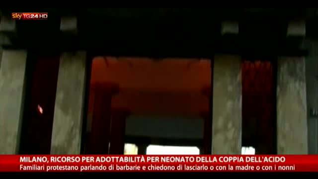 Milano, ricorso per adottabilità neonato coppia dell'acido