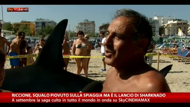 Riccione, squalo sulla spiaggia: è il lancio di Sharknado