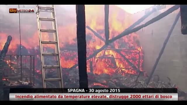 Venti forti e caldo alimentano incendio in Spagna