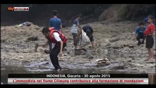 Volontari raccolgono rifiuti dal fiume in Indonesia