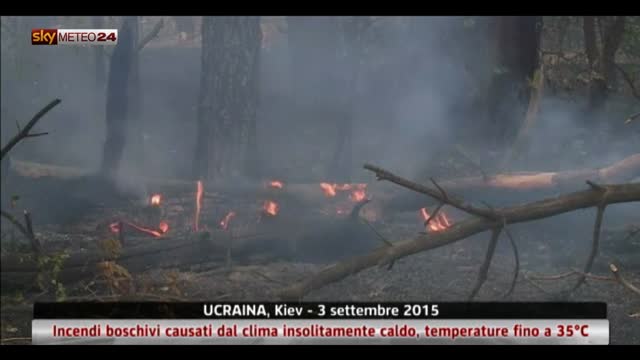 Incendi, 30 ettari bruciati in Ucraina 