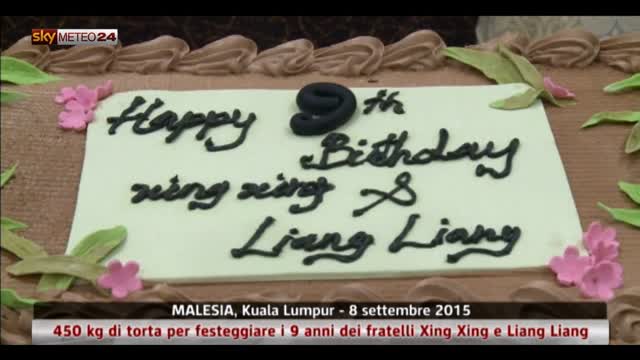 Mega torta di compleanno allo zoo di Kuala Lumpur