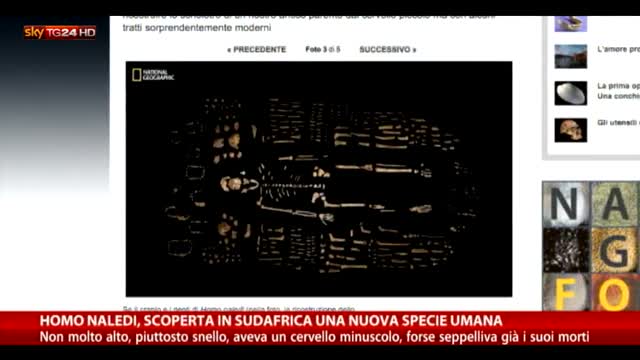 Homo Naledi, scoperta in Sudafrica una nuova specie umana