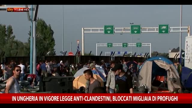 Migranti, l'inviato di SkyTG24 al confine ungherese