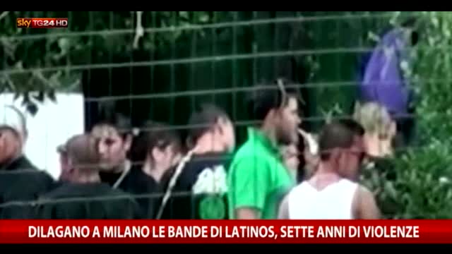 Milano, dilagano le bande di latinos: sette anni di violenze