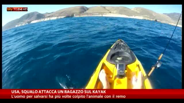 Usa, squalo attacca ragazzo su un kayak