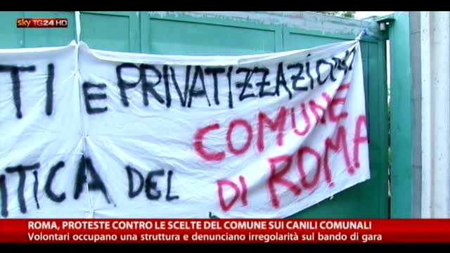 Roma, gara sospetta per un canile, lavoratori protestano