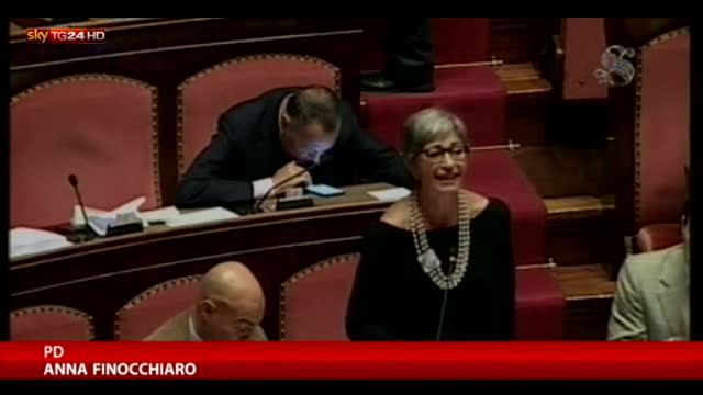 Senato, Finocchiaro: "Intesa unisce Pd e maggioranza"
