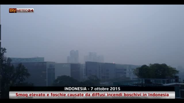 Inquinamento ambientale, smog e foschia in Indonesia