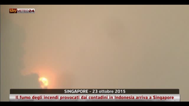 Singapore, fumo e foschia a causa degli incendi in Indonesia