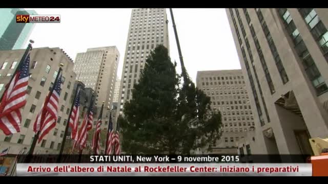 Albero di Natale al Rockefeller Center di New York