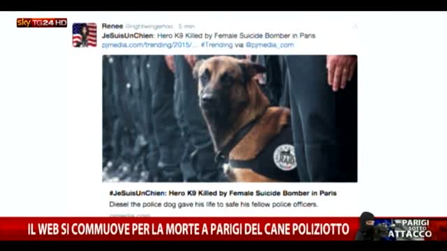 Il web si commuove per la morte a Parigi del cane poliziotto