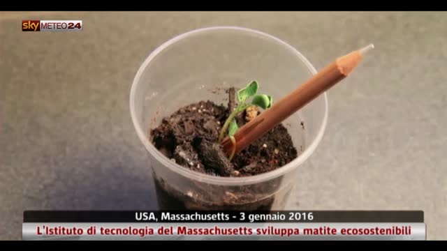 Matite ecosostenibili in Massachusetts