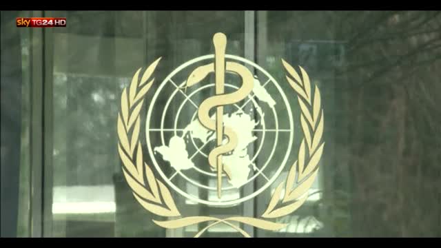 Virus Zika, a Ginevra il Comitato d'emergenza OMS