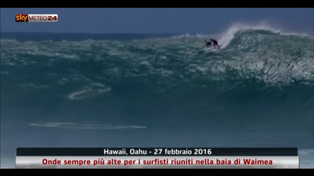 Hawaii, onde alte per surfisti riuniti nella baia di Waimea