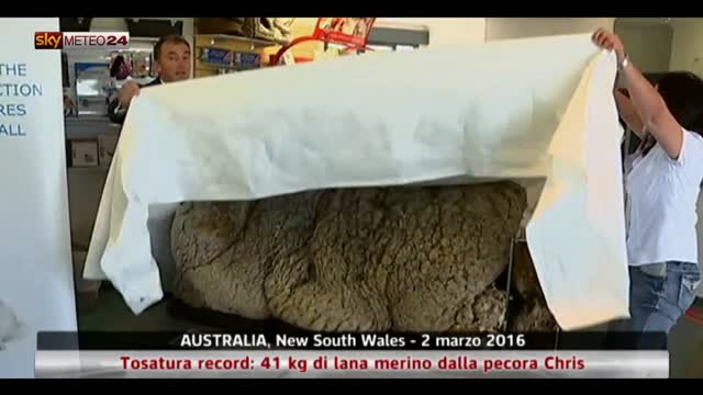 Tosatura record in Australia