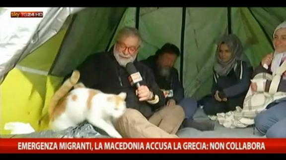 Idomeni, la famiglia siriana in viaggio con il gatto