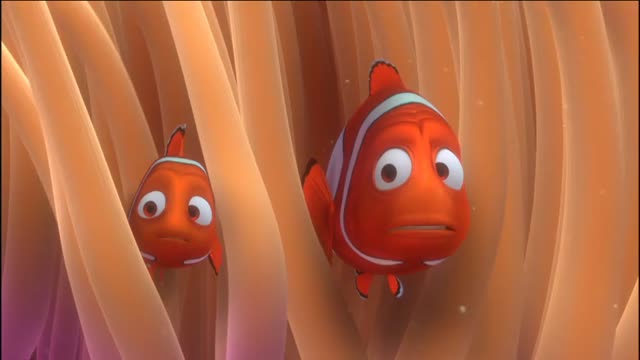 Sky Cinema Disney Pixar: Alla ricerca di Nemo