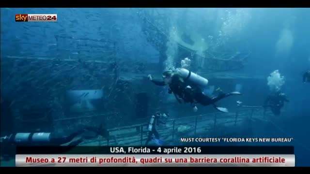 Museo sott acqua in Florida