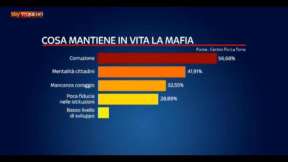 Mafia più forte dello Stato secondo gli studenti italiani
